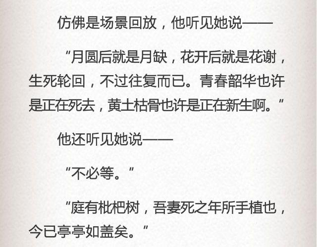 《轻文字》枇杷（下） 第28页