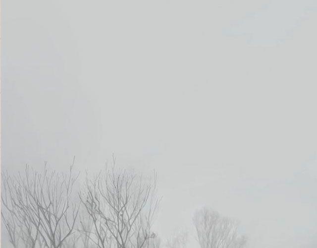 《轻文字》If I Could See You Again （下） @摄影师暴暴蓝 第3页