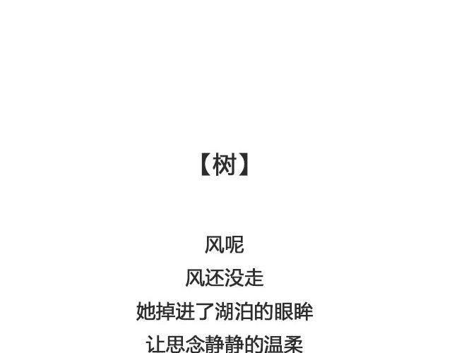 《轻文字》树与蜻蜓，猫与风铃@等故事长大_ 第4页