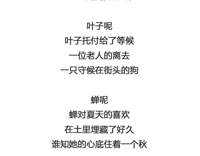《轻文字》树与蜻蜓，猫与风铃@等故事长大_ 第5页
