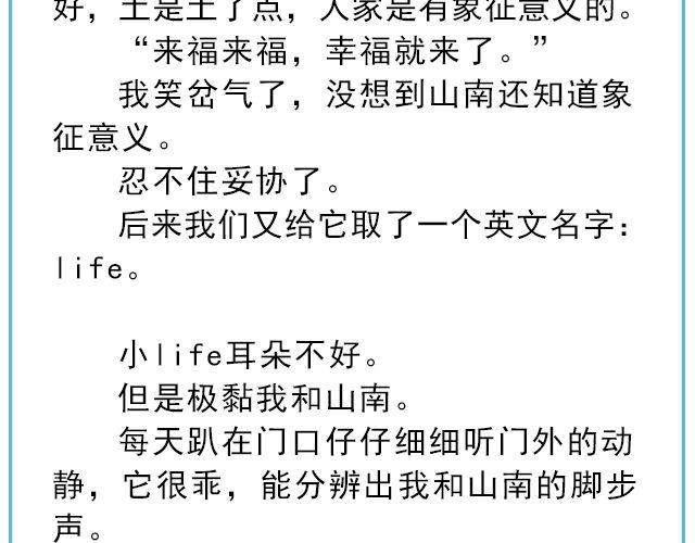 《轻文字》年年有鱼@姓氏乔 第36页