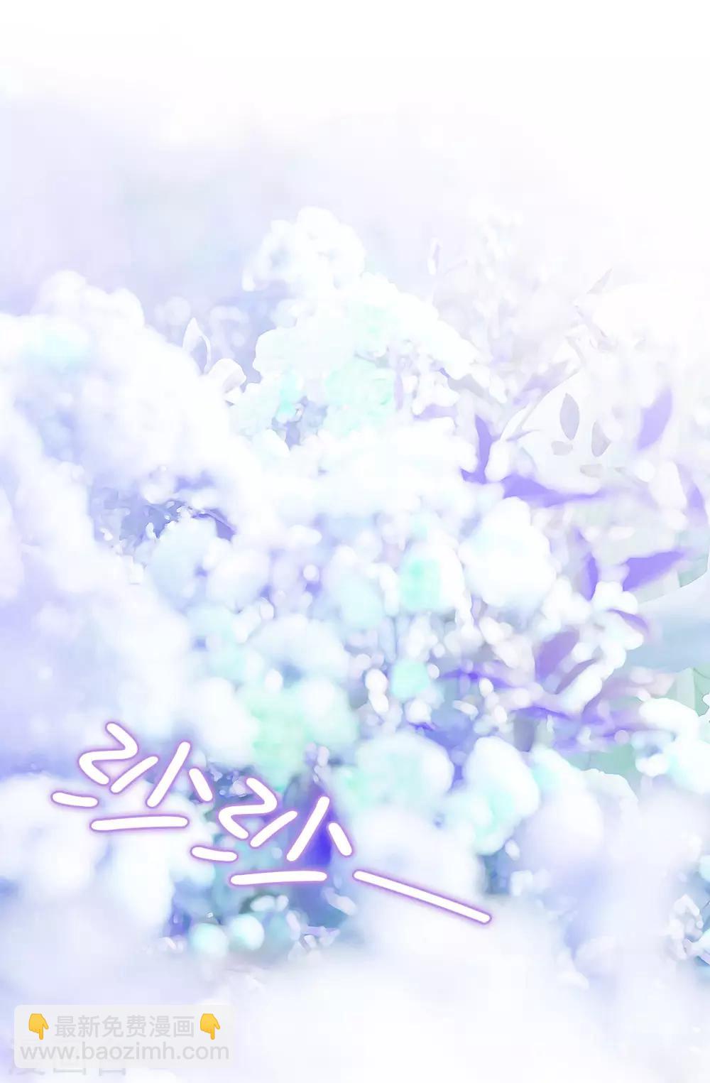 《皇子的天降未婚妻》第37话 好美的花海 第11页