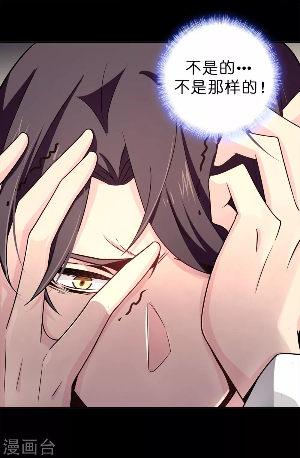 《皇子的天降未婚妻》第74话 只是想保护我珍惜的人 第3页