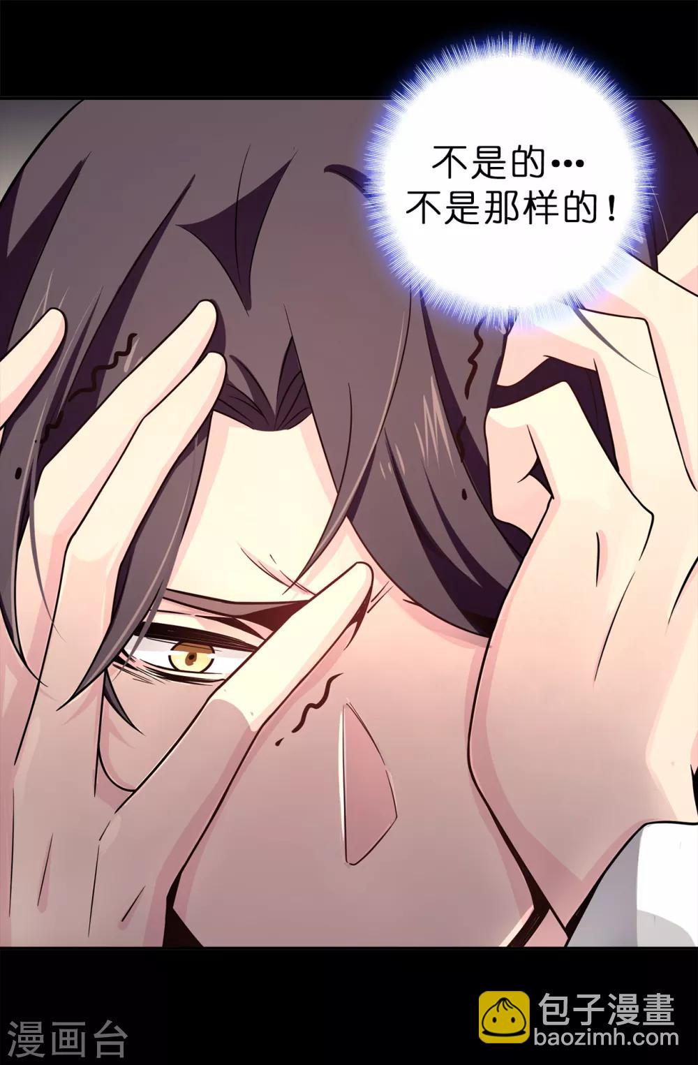 《皇子的天降未婚妻》第73话 我没有背叛他们 第25页