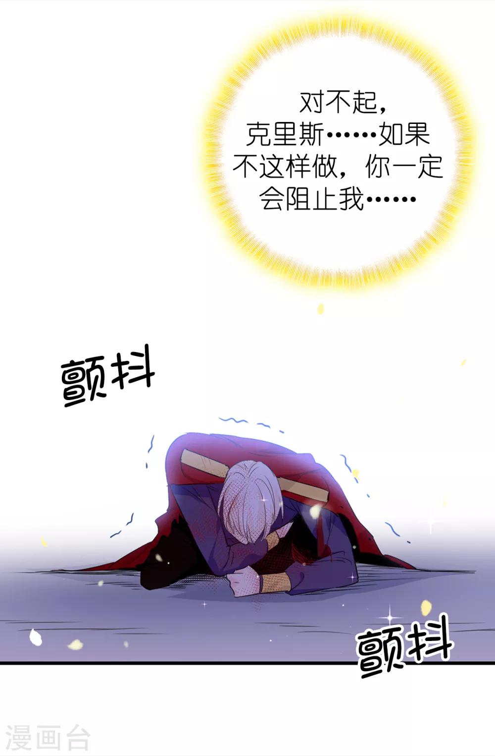《皇子的天降未婚妻》第107话 舍身相护 第13页