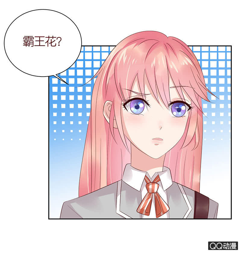 《冰山学长不好惹》校花女霸王 第29页