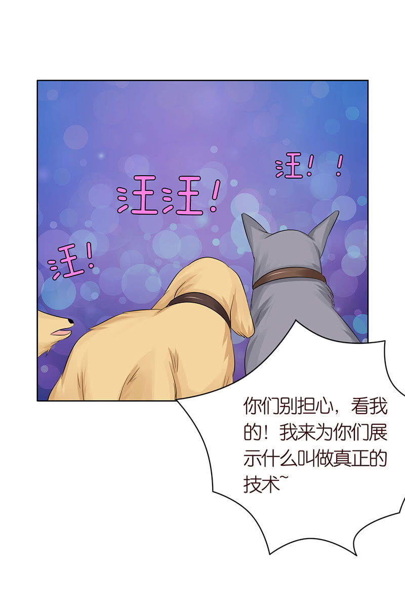 《冰山学长不好惹》千载不相负 第9页