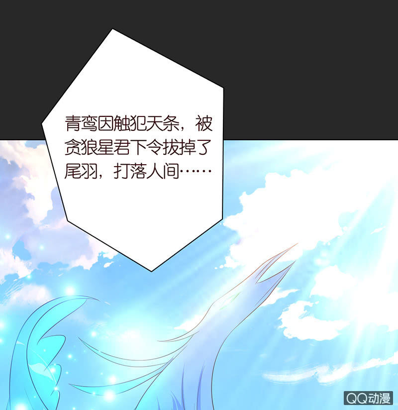 《冰山学长不好惹》青鸾 第34页