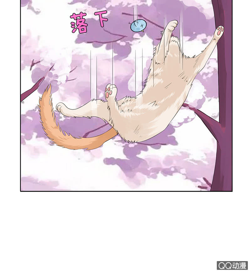 《冰山学长不好惹》神秘的蛋蛋 第12页