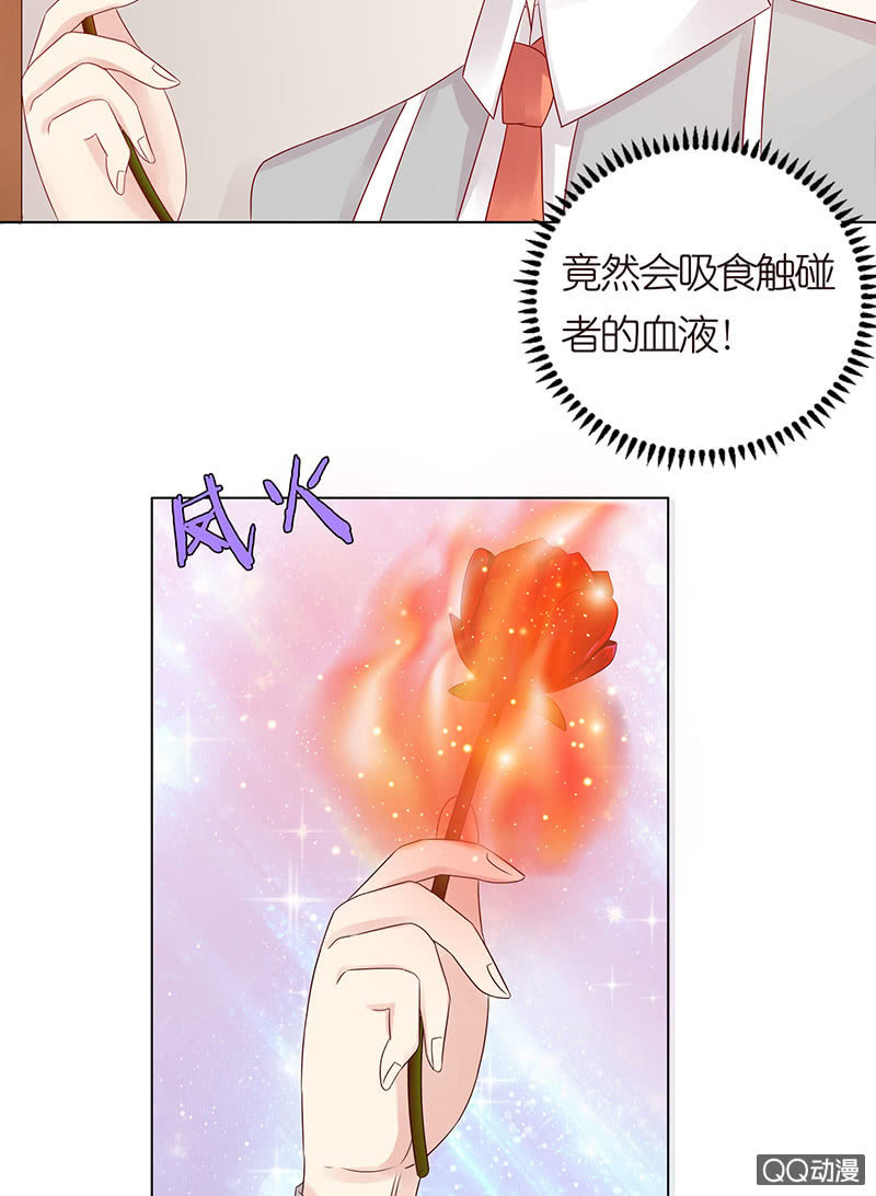 《冰山学长不好惹》嗜血的玫瑰 第31页