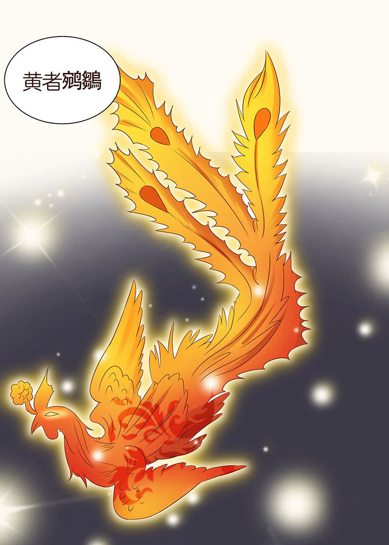 《冰山学长不好惹》焚身以火 第40页
