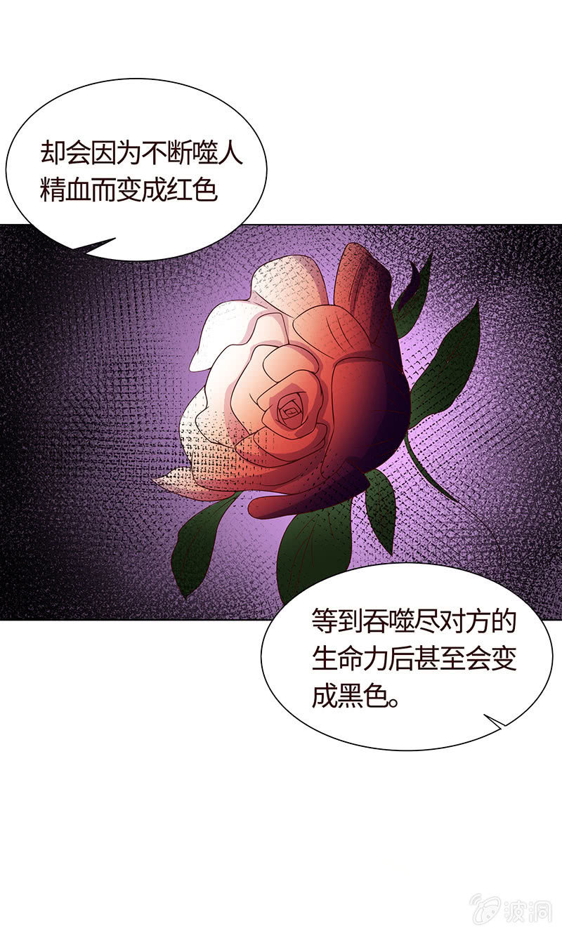 《冰山学长不好惹》争锋的试探 第37页