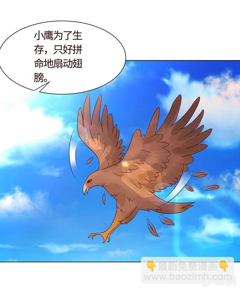 《冰山学长不好惹》不飞翔就会死 第5页