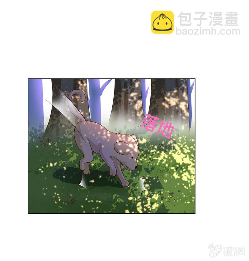《冰山学长不好惹》与狗对峙 第41页
