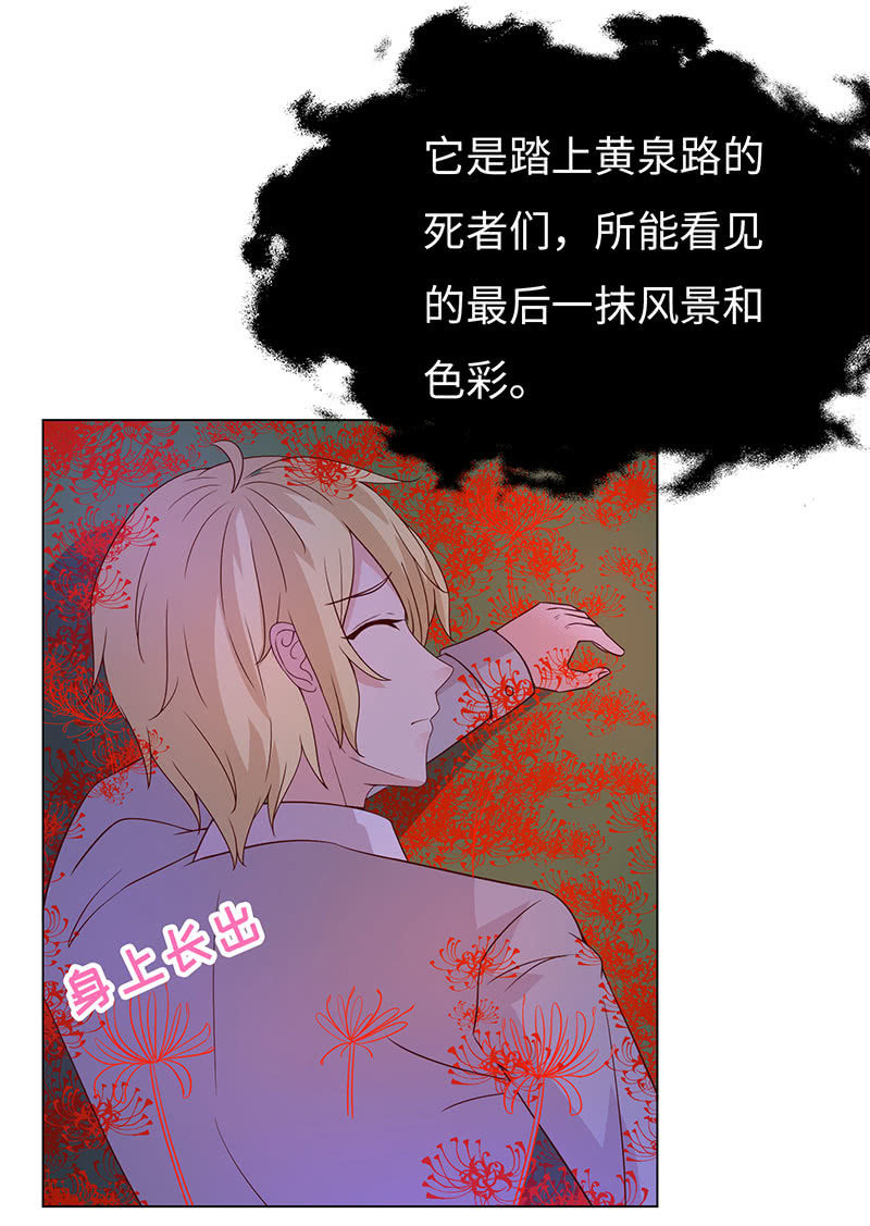 《冰山学长不好惹》青鸾 第25页