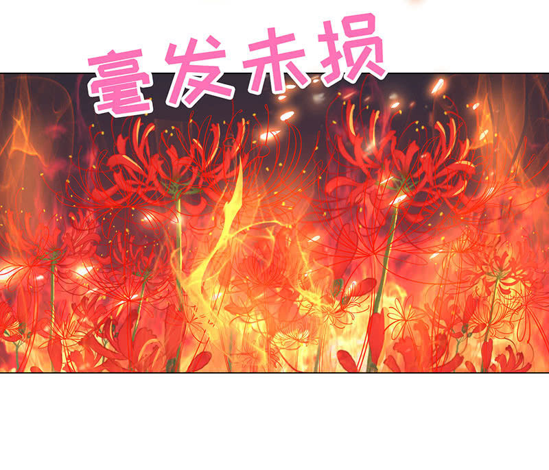 《冰山学长不好惹》青鸾 第30页