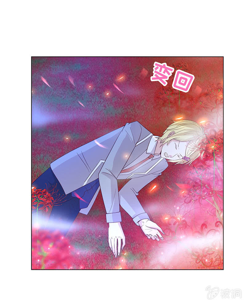 《冰山学长不好惹》青鸾 第5页