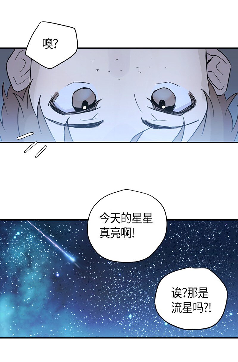 《我的叔叔是超级巨星》01 圆梦计划 第49页