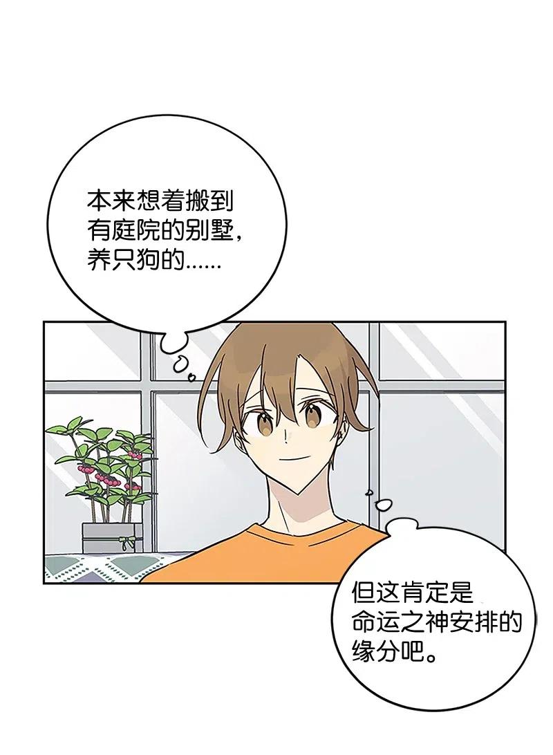 《我的叔叔是超级巨星》53 赴约 第3页