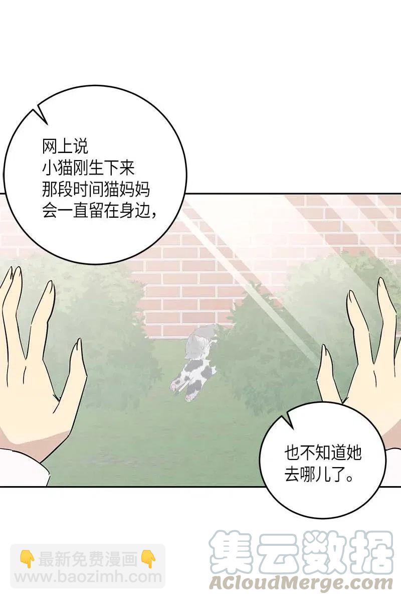 《我的叔叔是超级巨星》52 添新成员 第16页