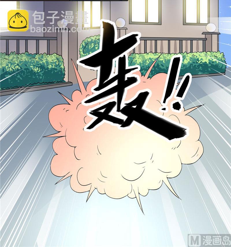 《美女大小姐的专属高手》第13话 小奶球 第6页