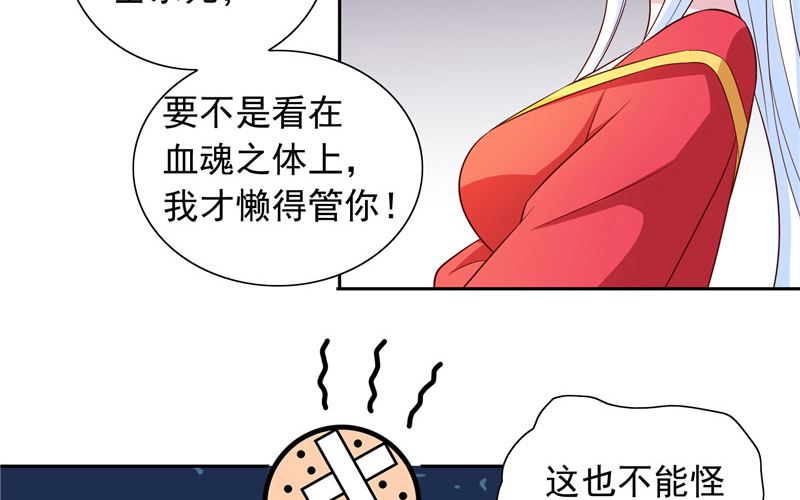 《美女大小姐的专属高手》第61话 解决黑龙 第28页