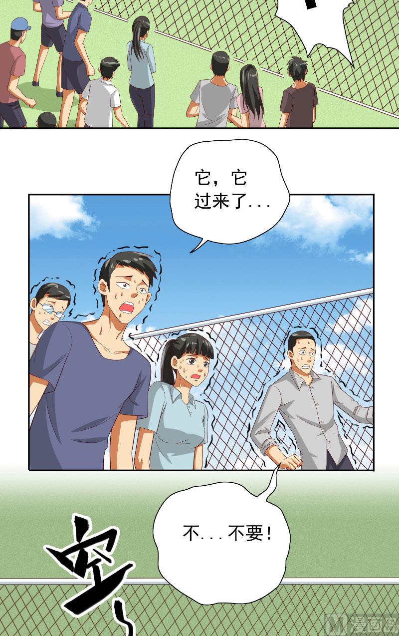 《美女大小姐的专属高手》第72话 杨程出手 第13页