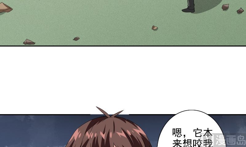 《美女大小姐的专属高手》第75话 那些道士们 第13页