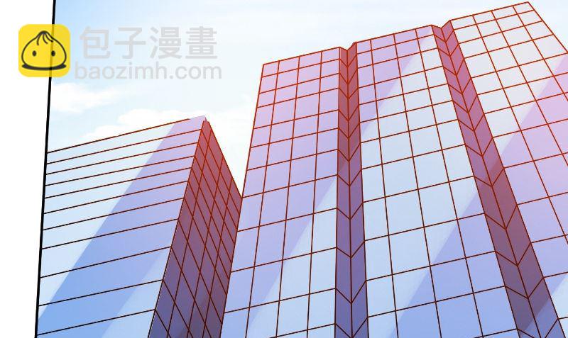 《美女大小姐的专属高手》第83话 妻子 第35页