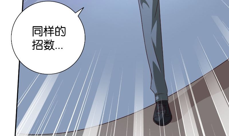 《美女大小姐的专属高手》第87话 南茅山柳彻 第48页