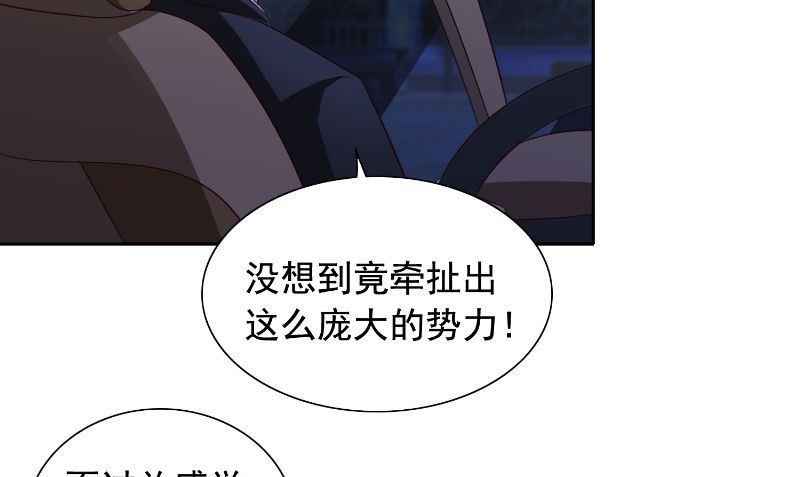 《美女大小姐的专属高手》第90话 叶家出事了 第29页