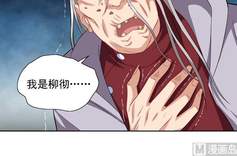 《美女大小姐的专属高手》第108话 都怪她！ 第31页