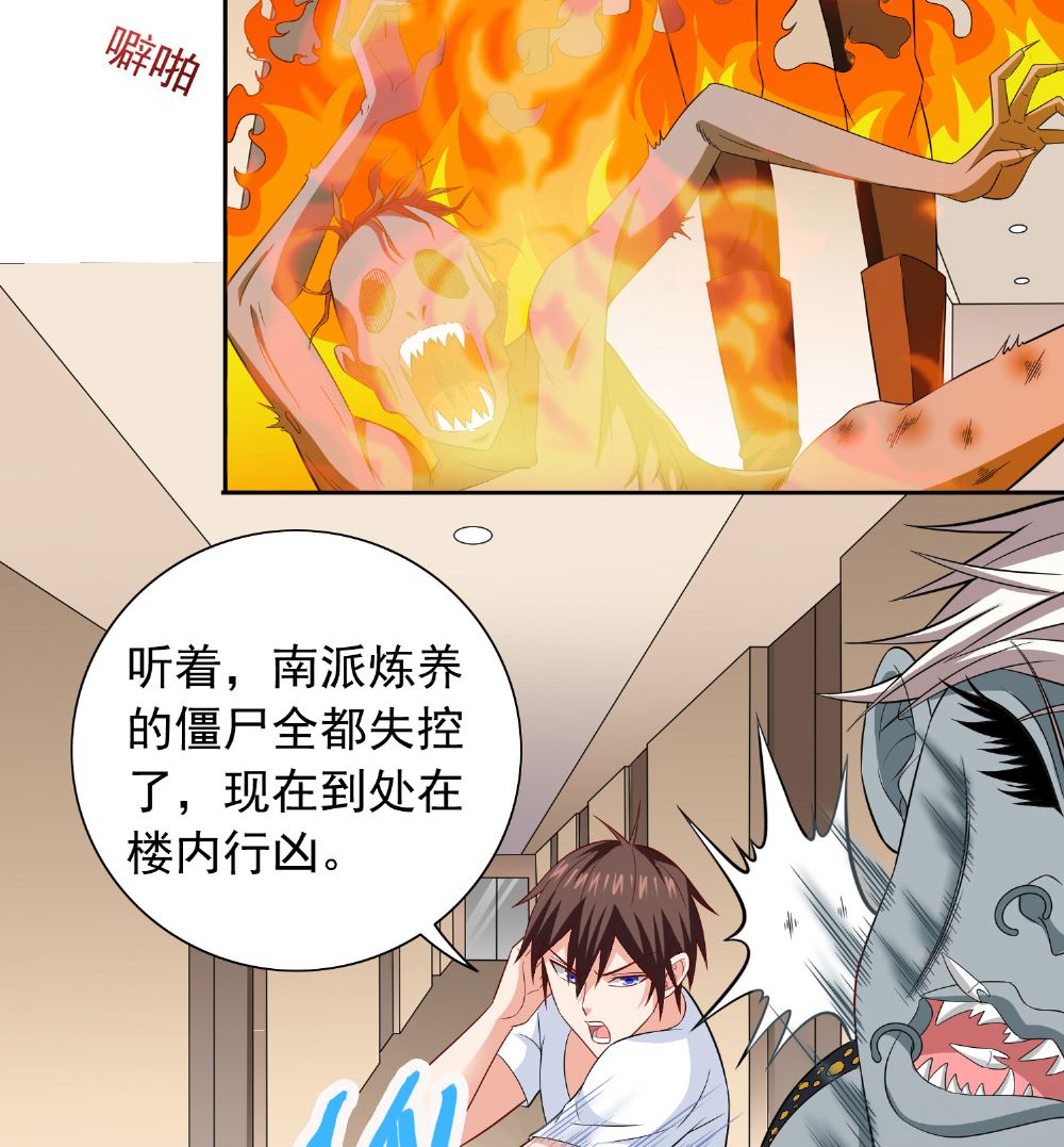 《美女大小姐的专属高手》第112话 清扫所有僵尸 第19页