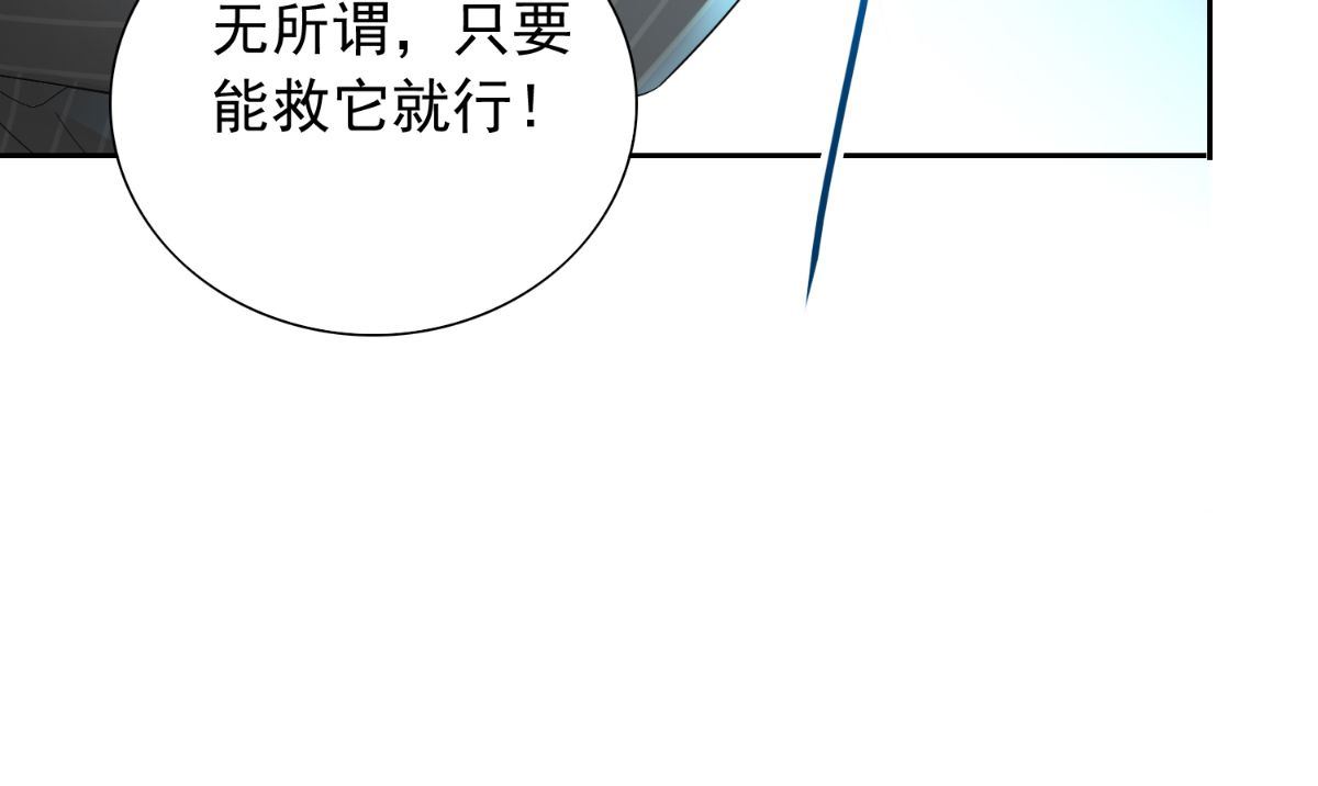 《美女大小姐的专属高手》第155话 你是最差的一届 第17页