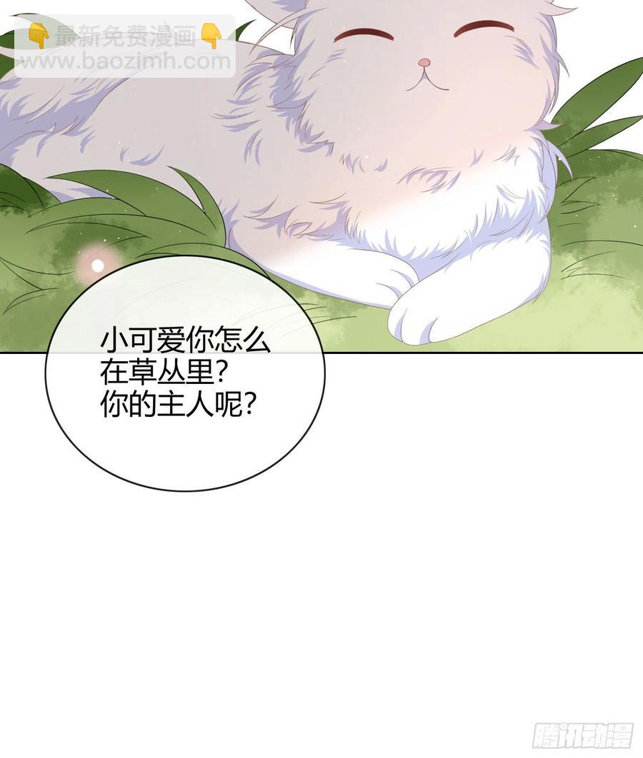 《当影后不如念清华（重生考清华）》这是什么人间小可爱？！ 第14页