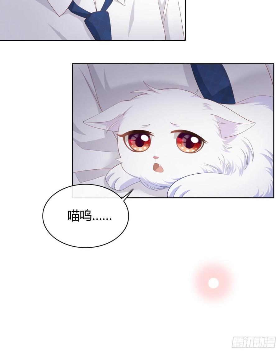 《当影后不如念清华（重生考清华）》绿茶终结者 第23页