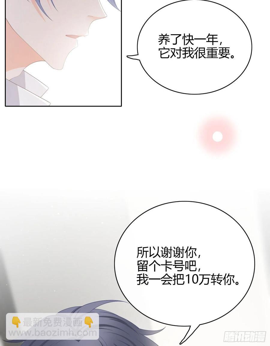 《当影后不如念清华（重生考清华）》幸福来得太突然了 第15页