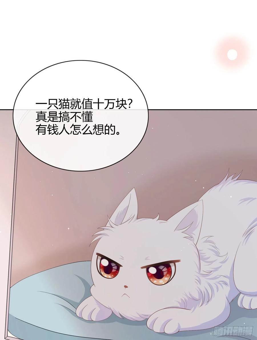 《当影后不如念清华（重生考清华）》绿茶终结者 第10页