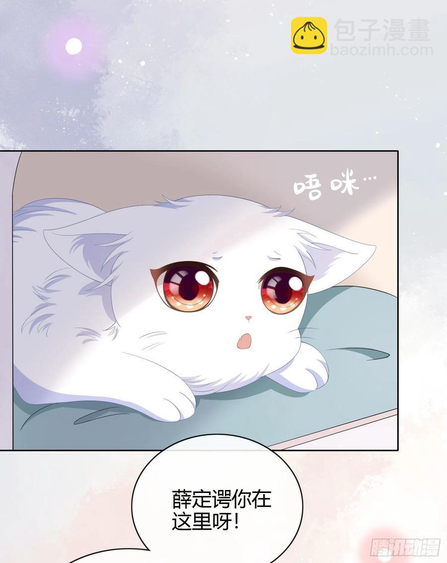 《当影后不如念清华（重生考清华）》绿茶终结者 第34页