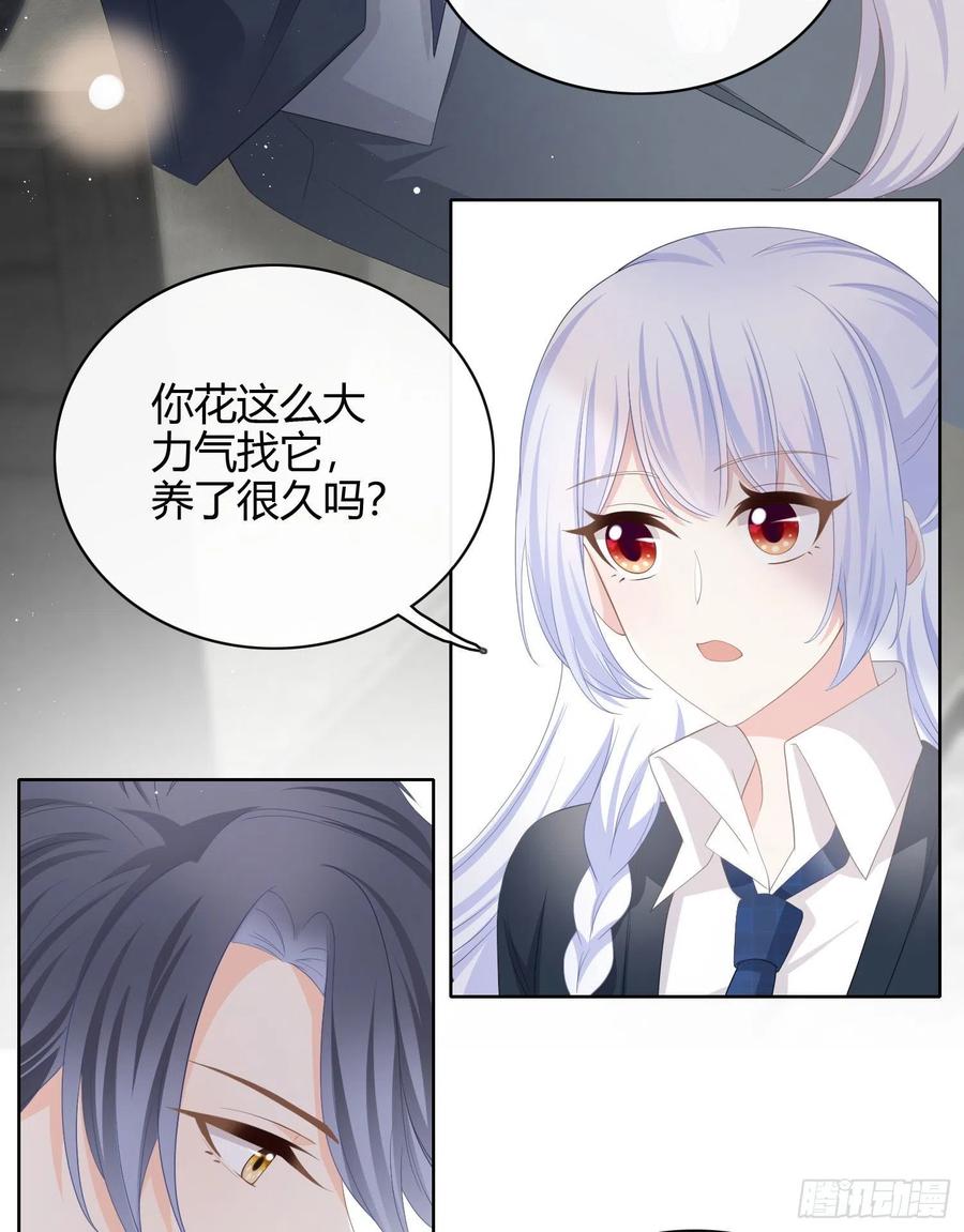 《当影后不如念清华（重生考清华）》幸福来得太突然了 第14页