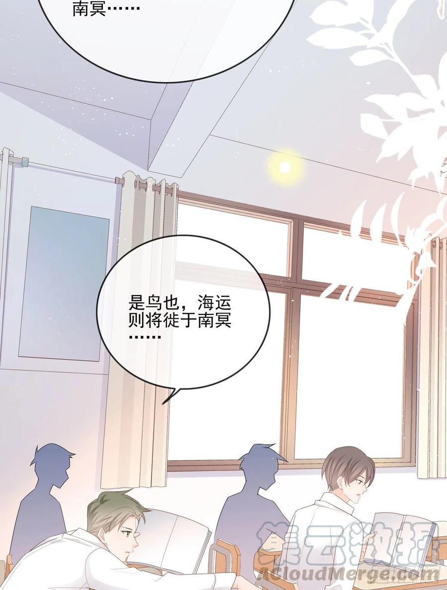 《当影后不如念清华（重生考清华）》转入火箭班 第17页