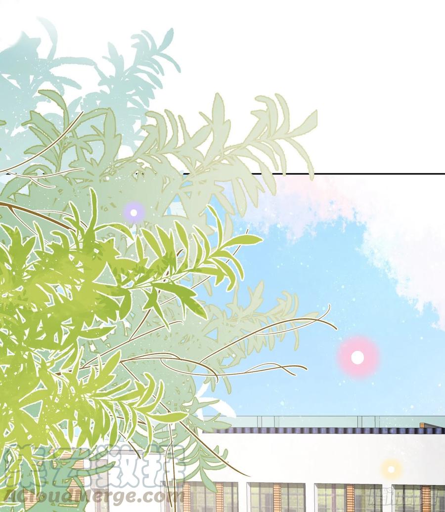 《当影后不如念清华（重生考清华）》万年老二 第3页
