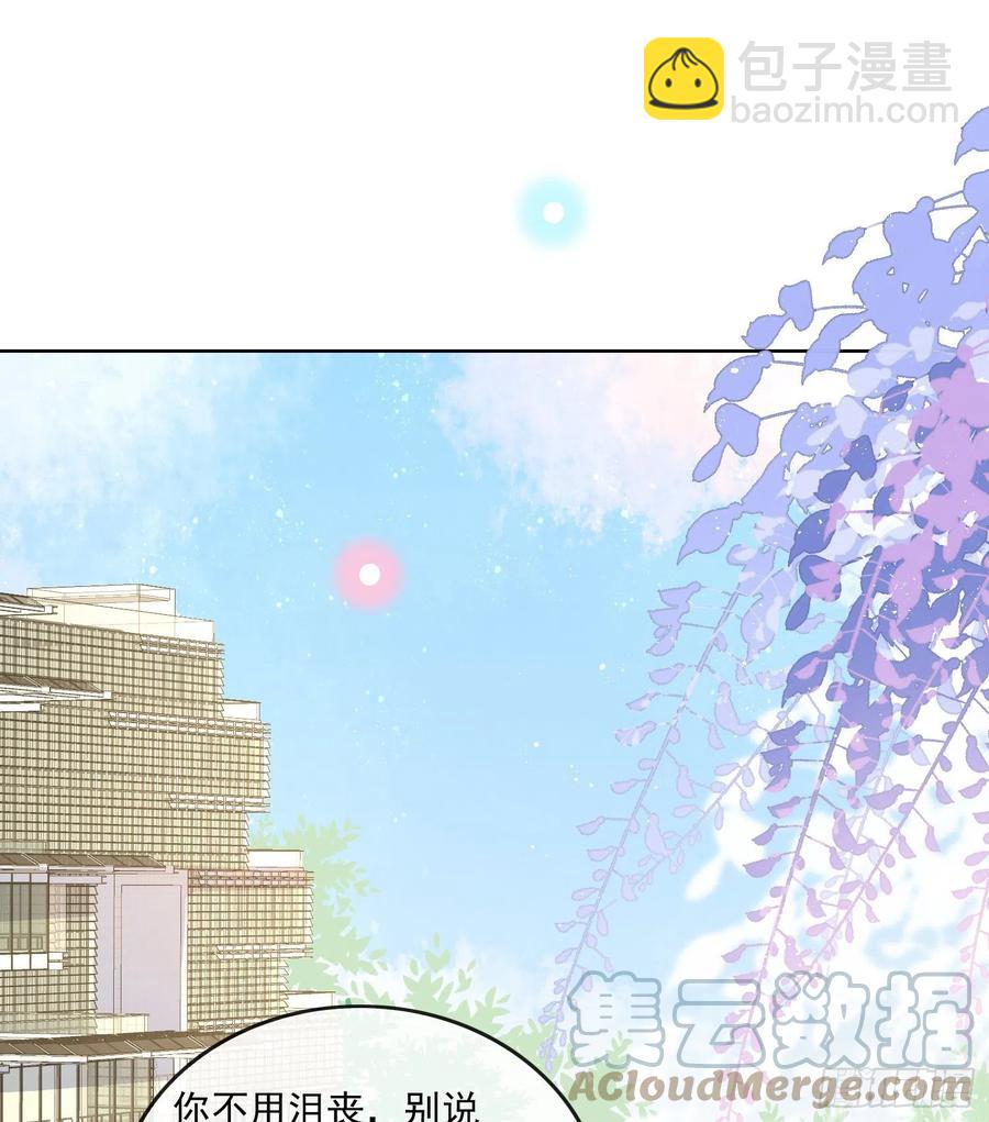 《当影后不如念清华（重生考清华）》四亿修得聂宸也 第4页