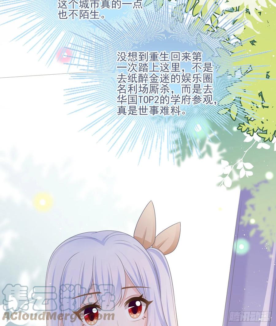 《当影后不如念清华（重生考清华）》彩虹屁精本精 第43页