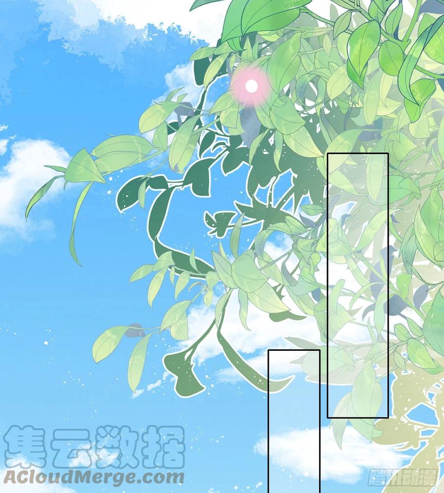 《当影后不如念清华（重生考清华）》彩虹屁精本精 第31页