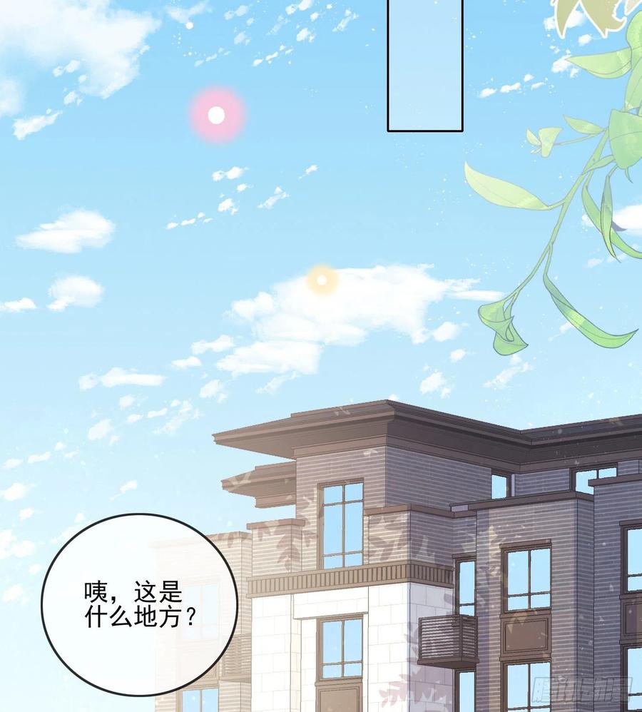 《当影后不如念清华（重生考清华）》彩虹屁精本精 第32页