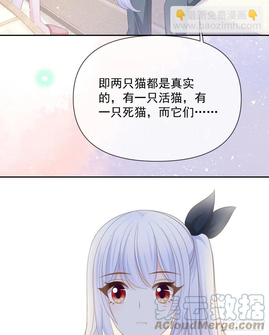 《当影后不如念清华（重生考清华）》薛定谔的猫 第28页