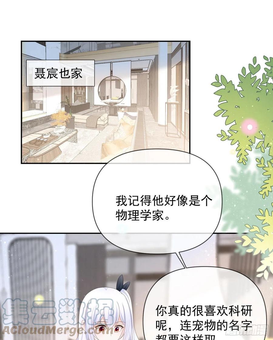《当影后不如念清华（重生考清华）》薛定谔的猫 第4页