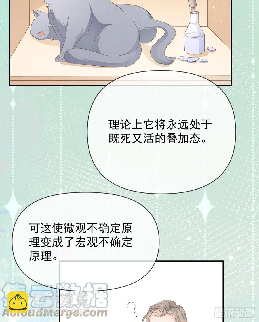 《当影后不如念清华（重生考清华）》薛定谔的猫 第25页