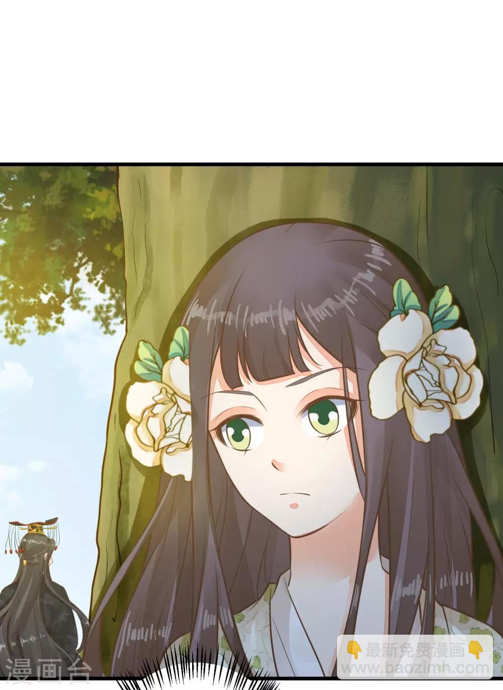 《这个贵妃有点飘》第53话 移花接木 第20页